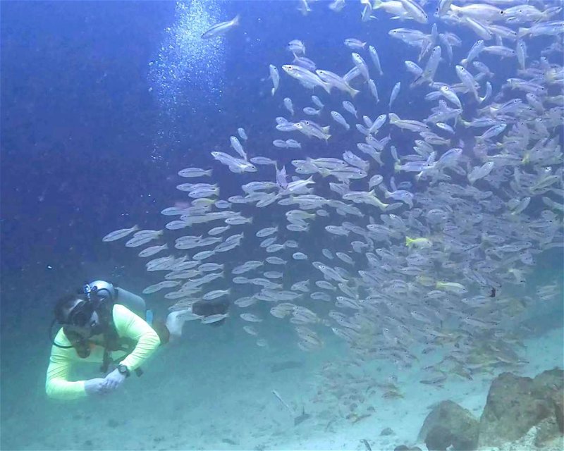 Divesite Image