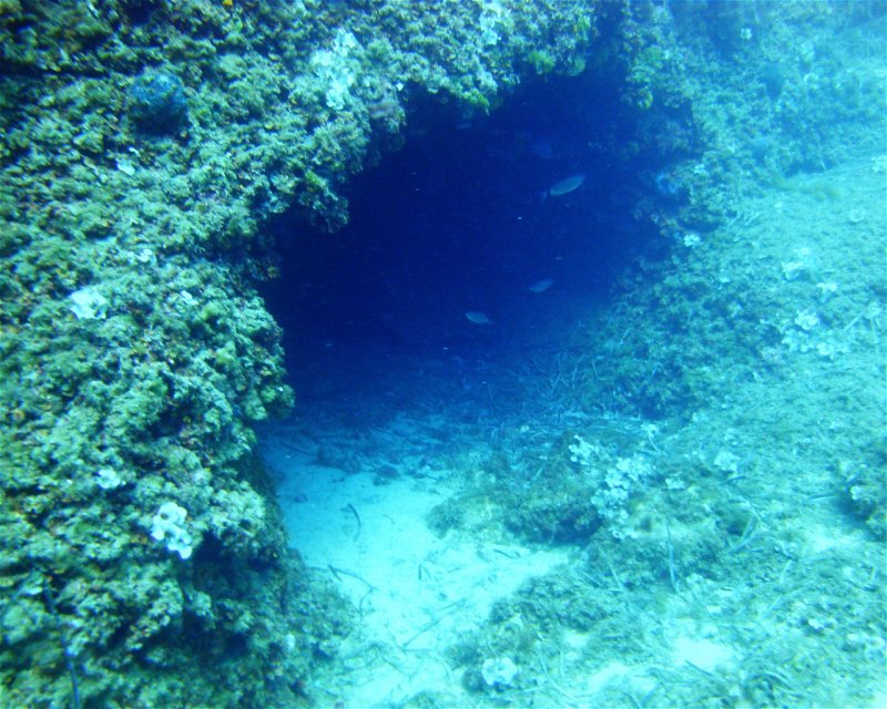 Divesite Image