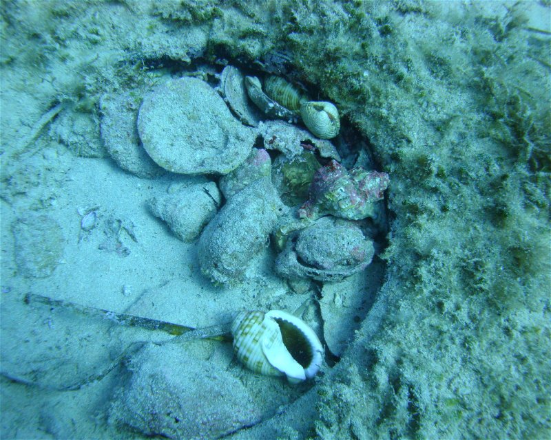 Divesite Image