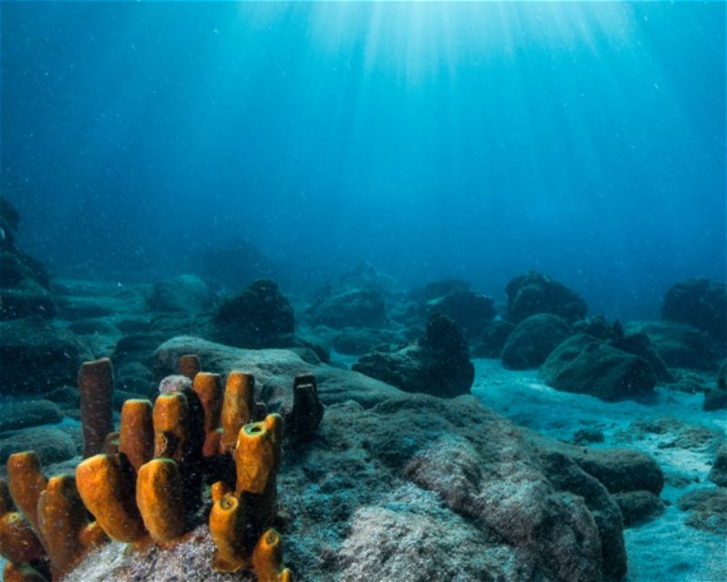 Divesite Image