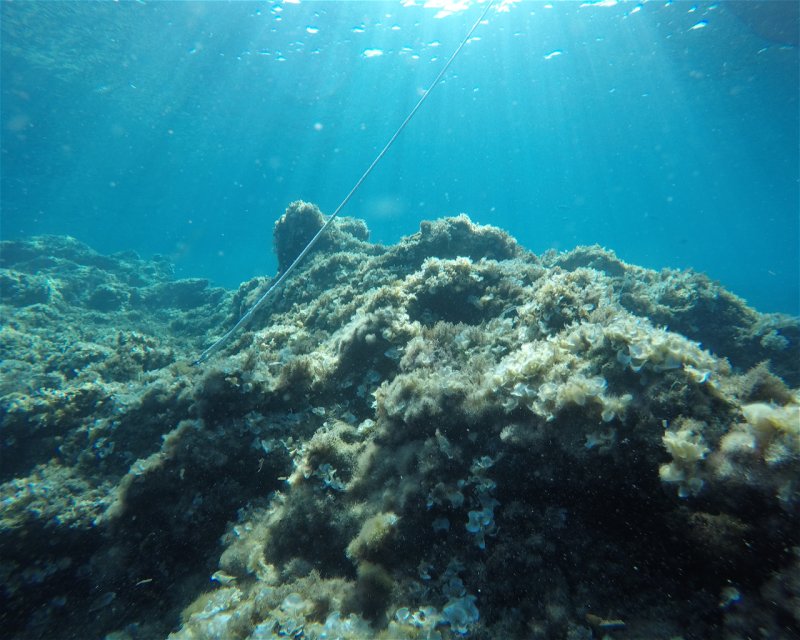 Divesite Image