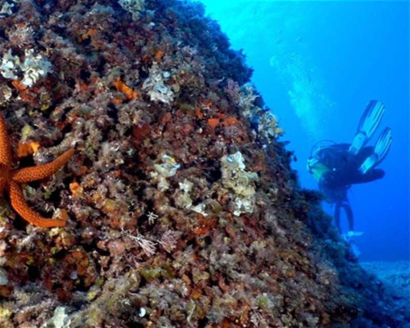 Divesite Image
