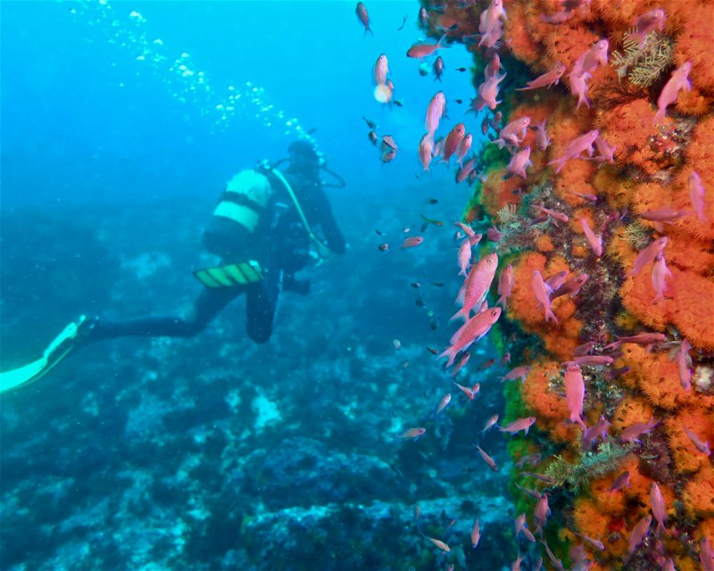 Divesite Image
