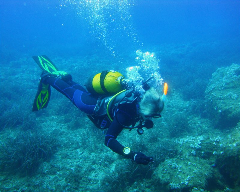 Divesite Image