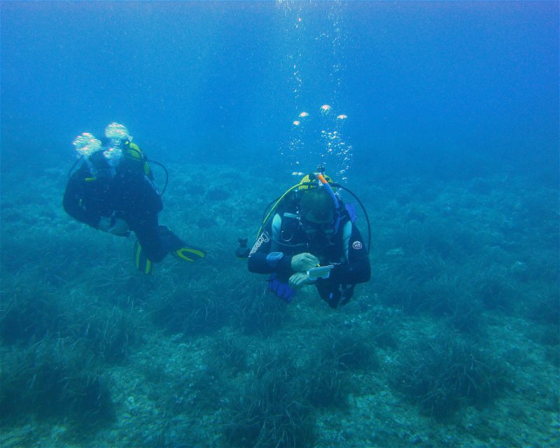 Divesite Image