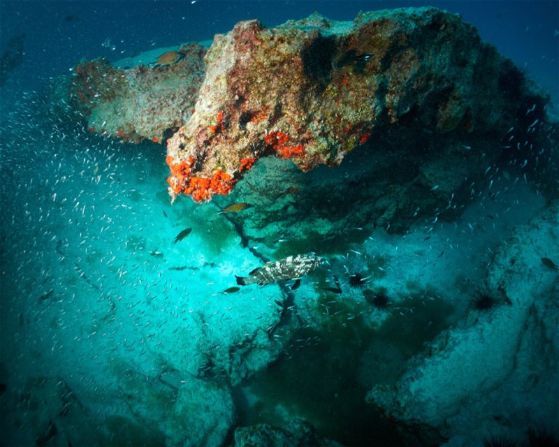 Divesite Image