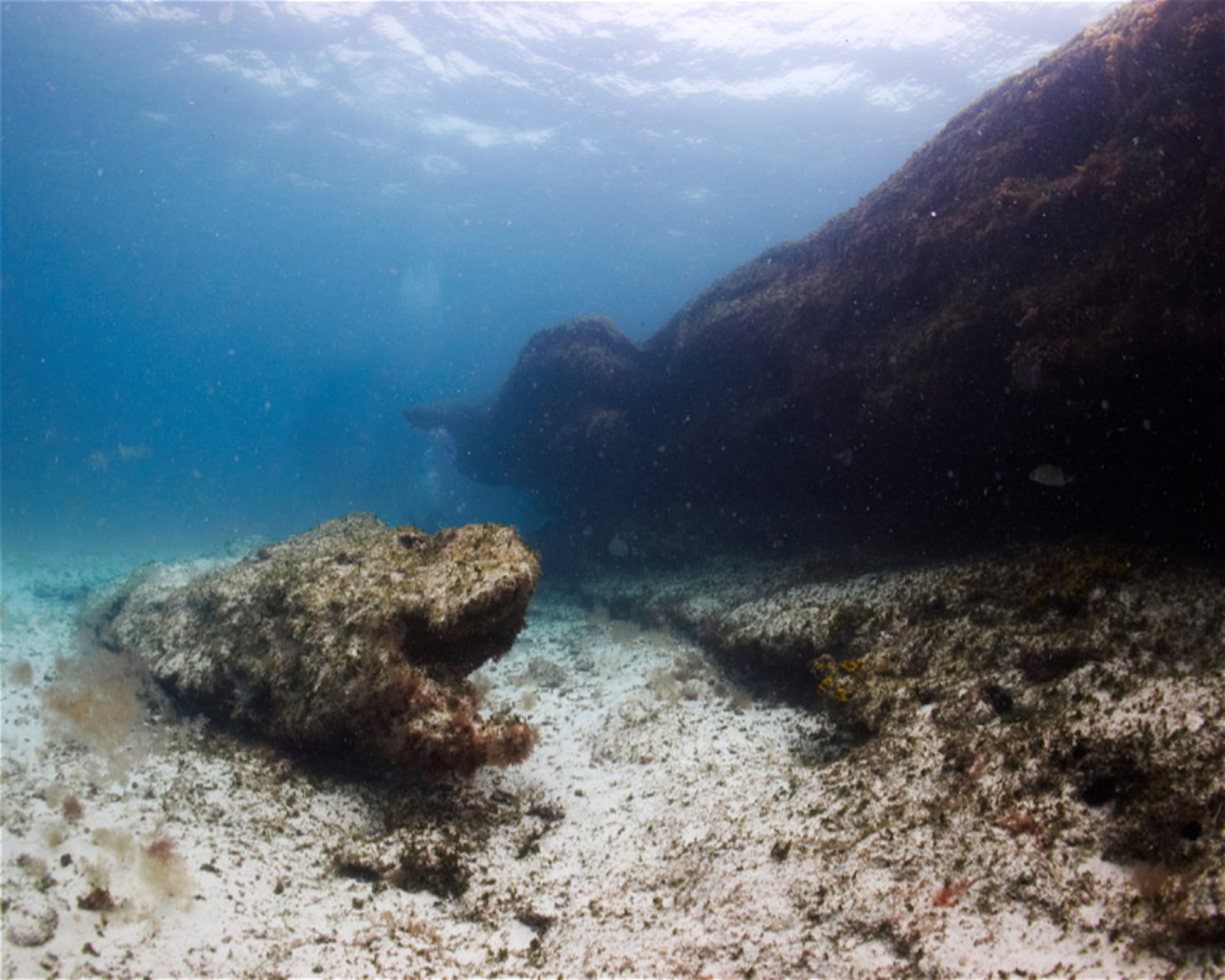 Punta Amanay SL, 35660 Fuerteventura, Corralejo