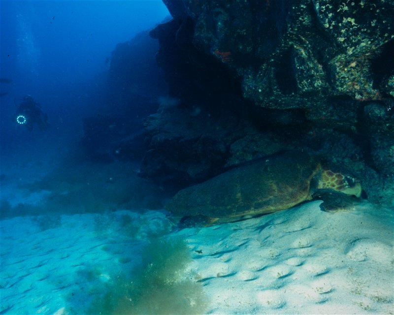 Divesite Image