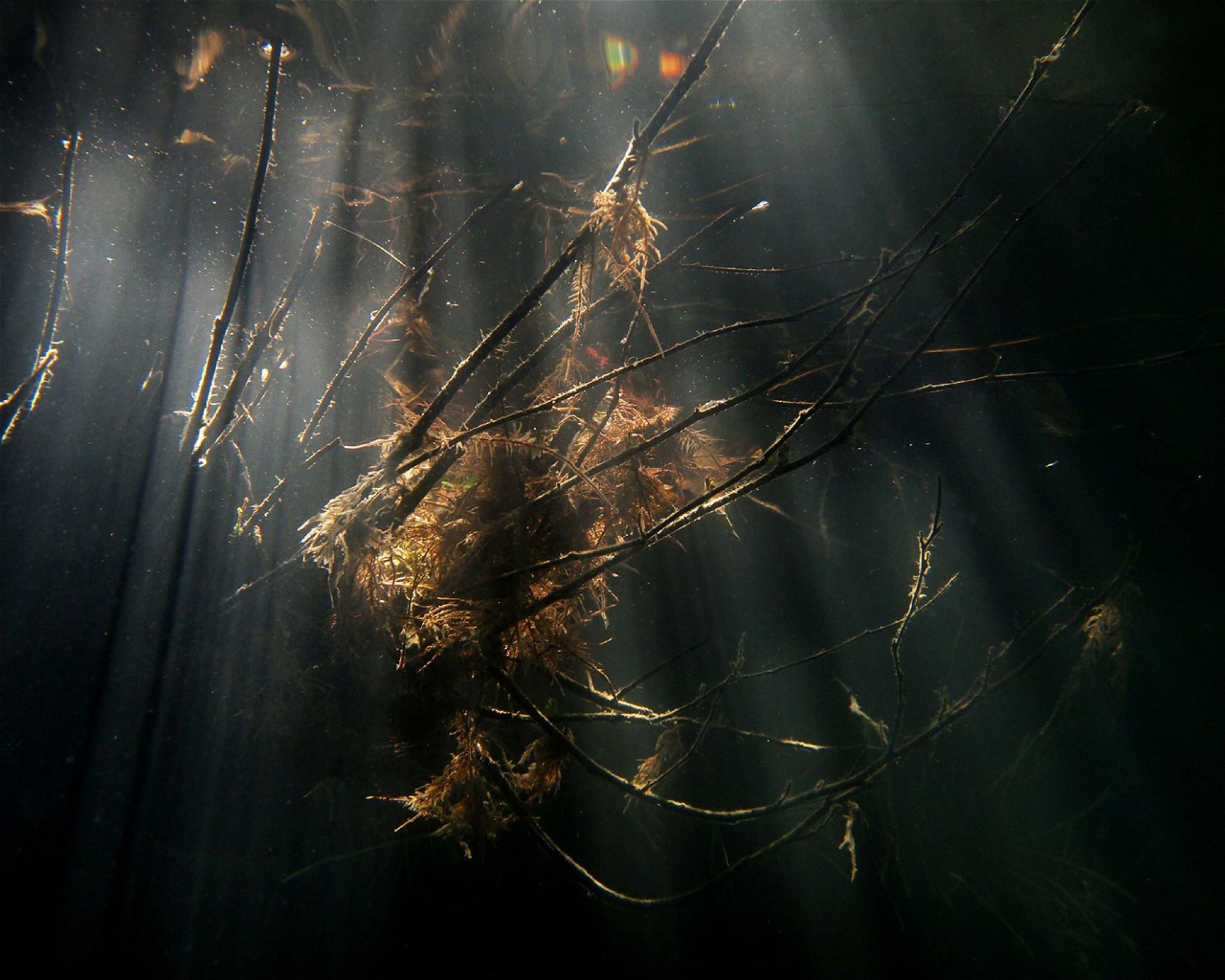 Divers Direct, 16000 Praha 6