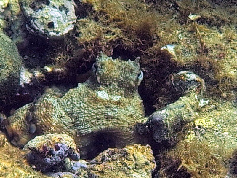 Divesite Image