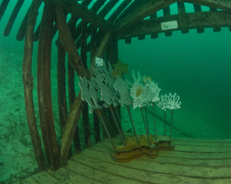 Divesite Image