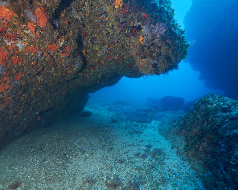 Divesite Image