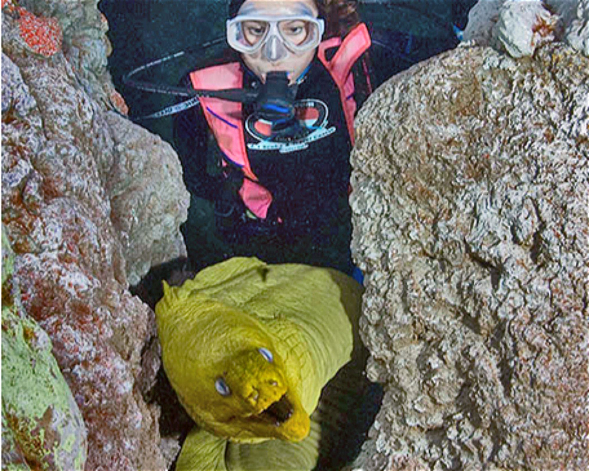 A-1 Scuba and Travel Aquatics Center, 80120 Littleton