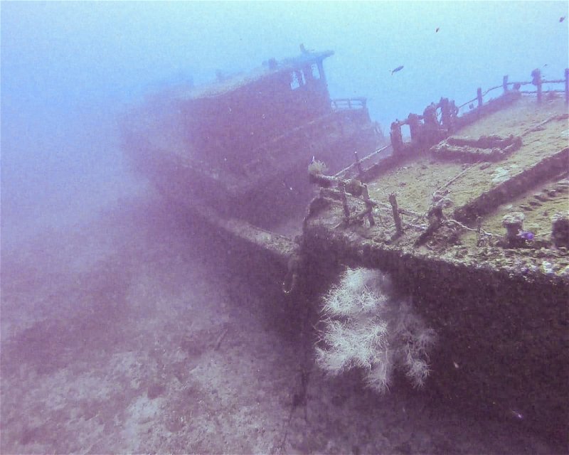 Divesite Image