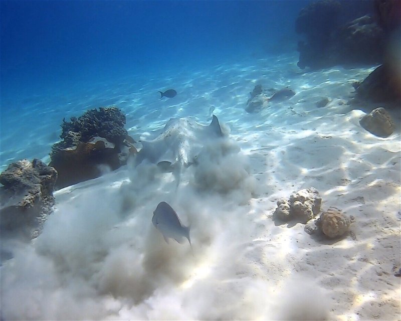 Divesite Image