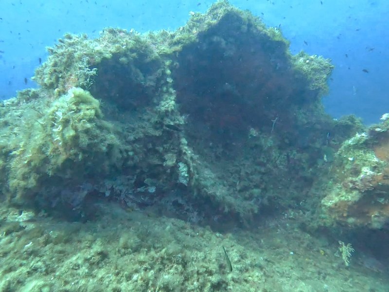 Divesite Image