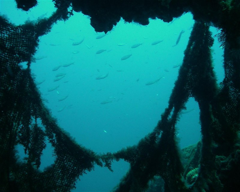 Divesite Image
