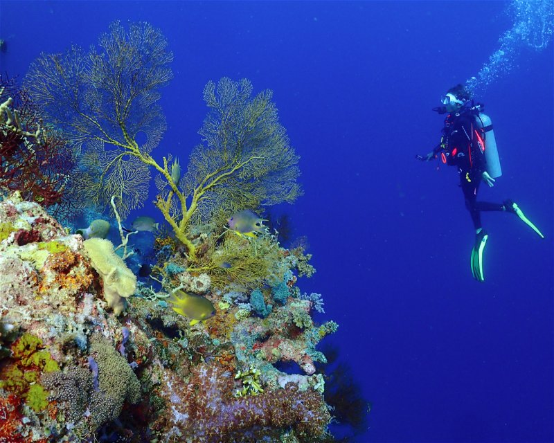 Divesite Image