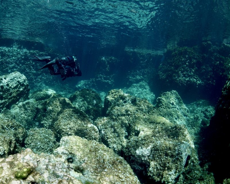 Divesite Image