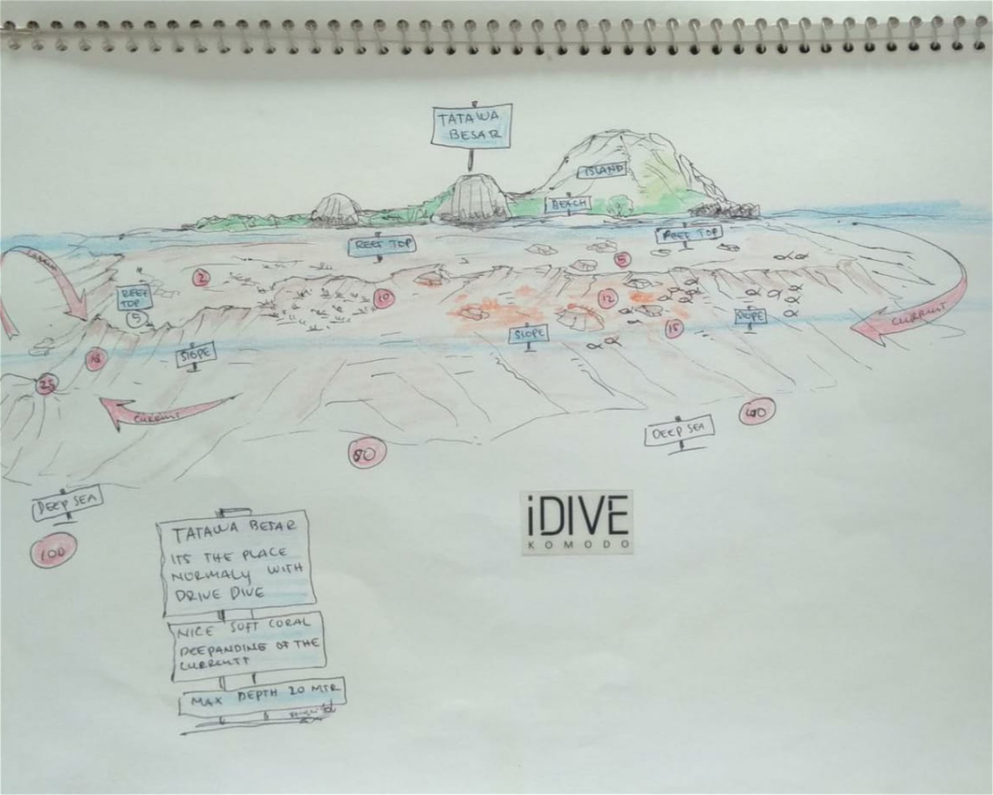iDIVE Komodo, 86554 Labuan Bajo