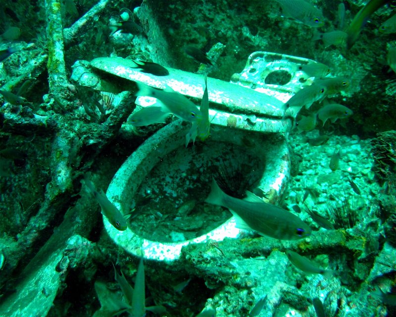 Divesite Image