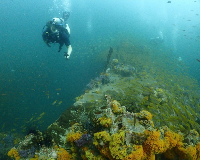 Divesite Image