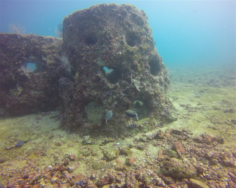 Divesite Image