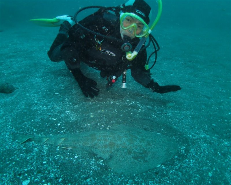 Divesite Image