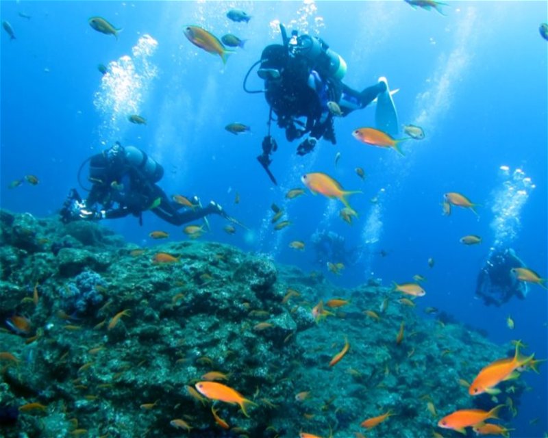 Divesite Image