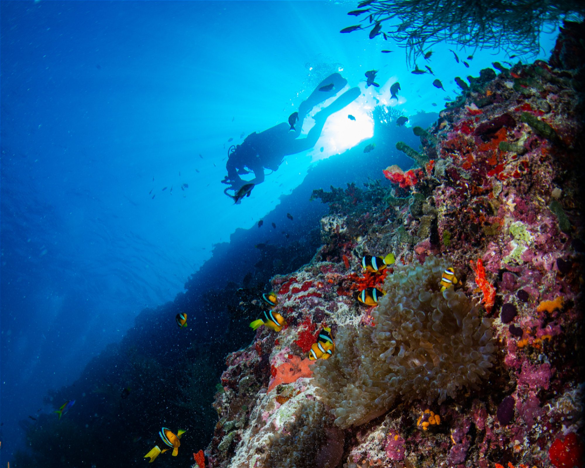 Sub Oceanic at Hilton Maldives Amingiri, 20188 North Male Atoll