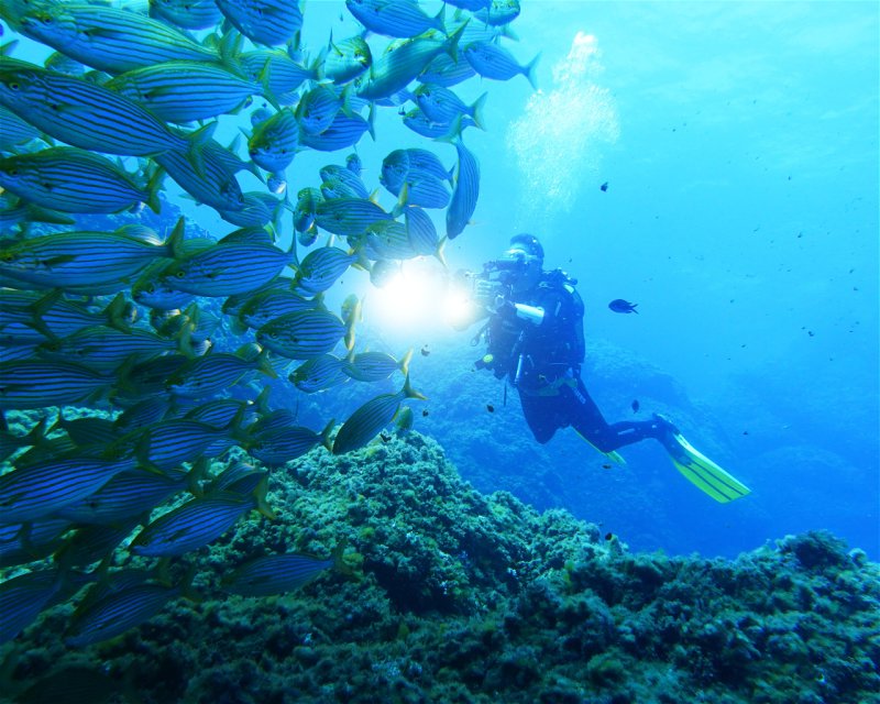 Divesite Image