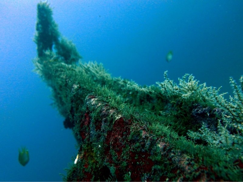 Divesite Image