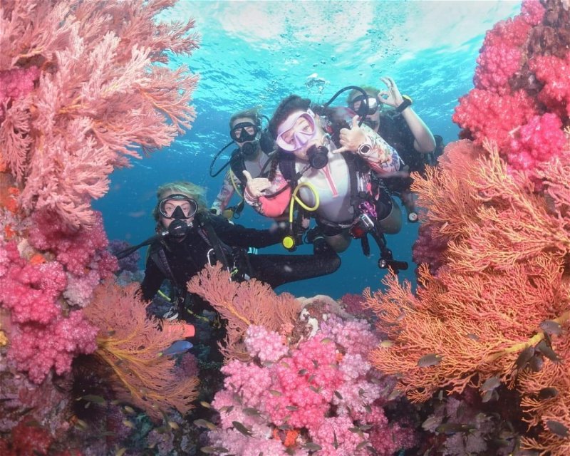 Divesite Image