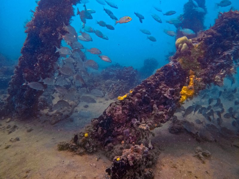 Divesite Image