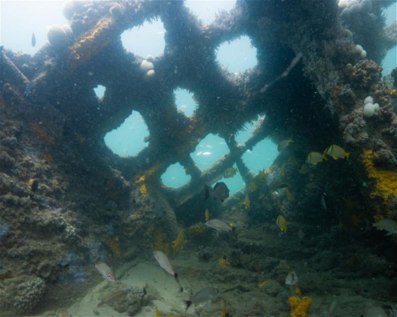 Divesite Image
