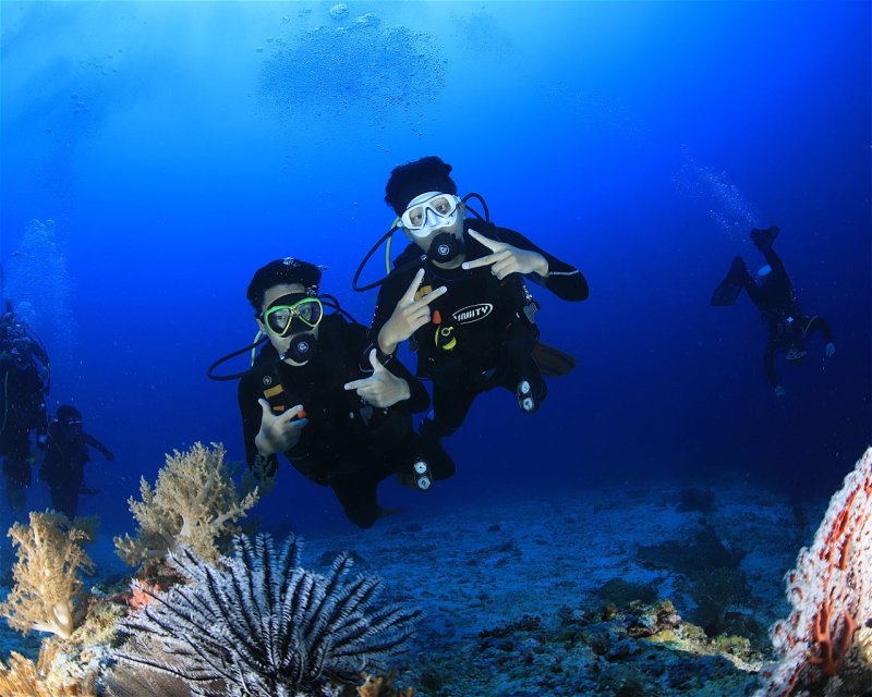 Divesite Image