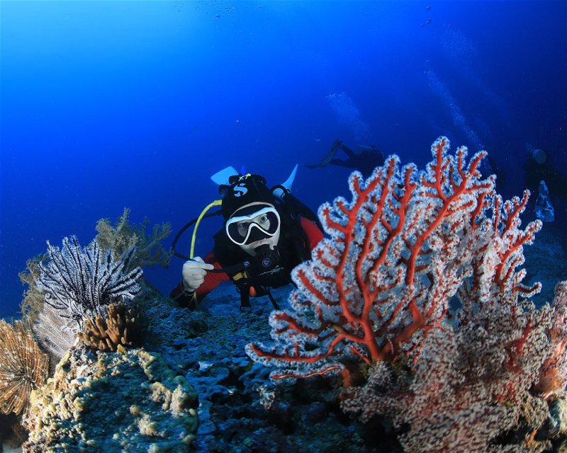 Divesite Image