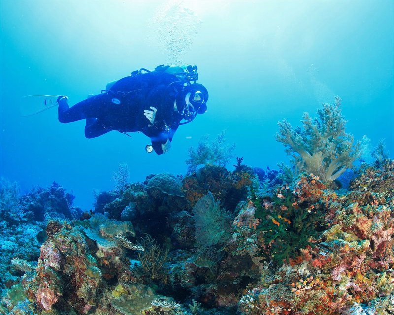 Divesite Image