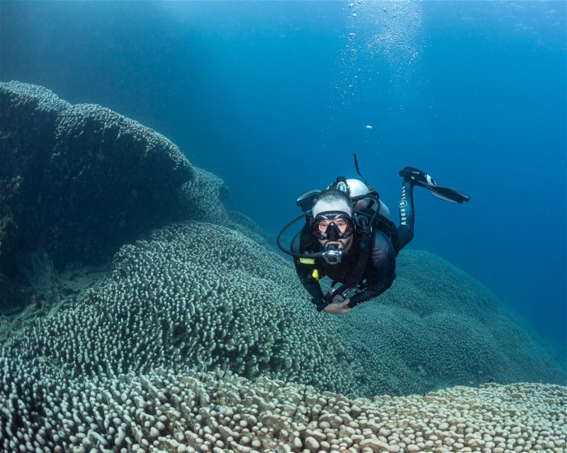 Divesite Image