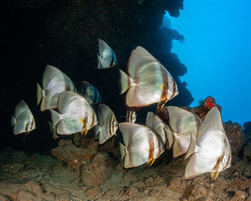 Divesite Image
