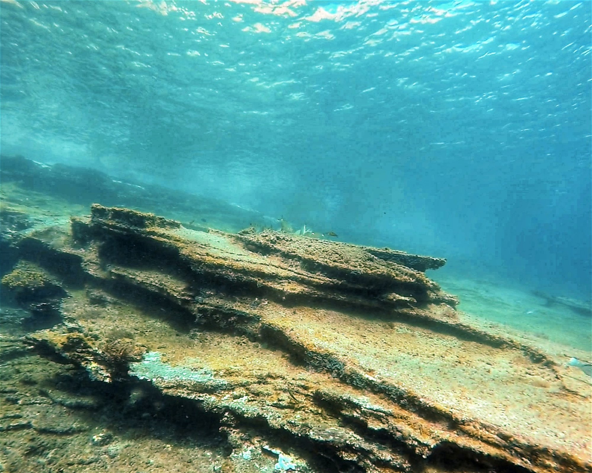 TENERIFE DIVE EXPERIENCE, 38660 SANTA CRUZ DE TENERIFE