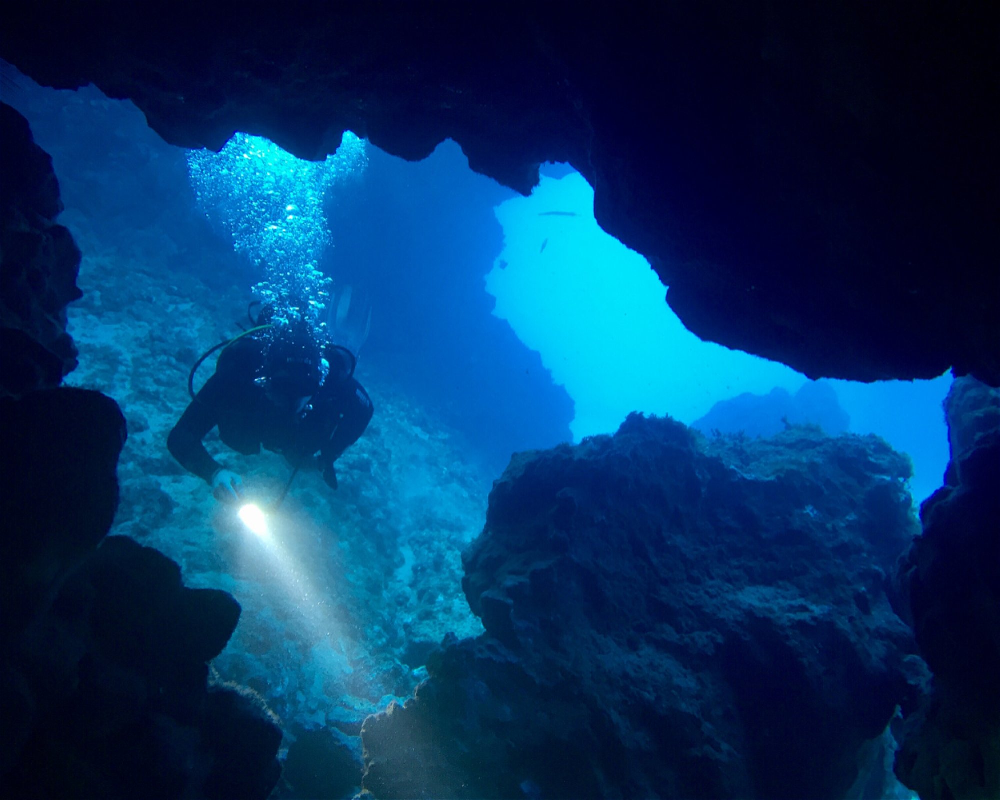WET MONSTER - DIVE CENTER TENERIFE, 38630 COSTA DEL SILENCIO