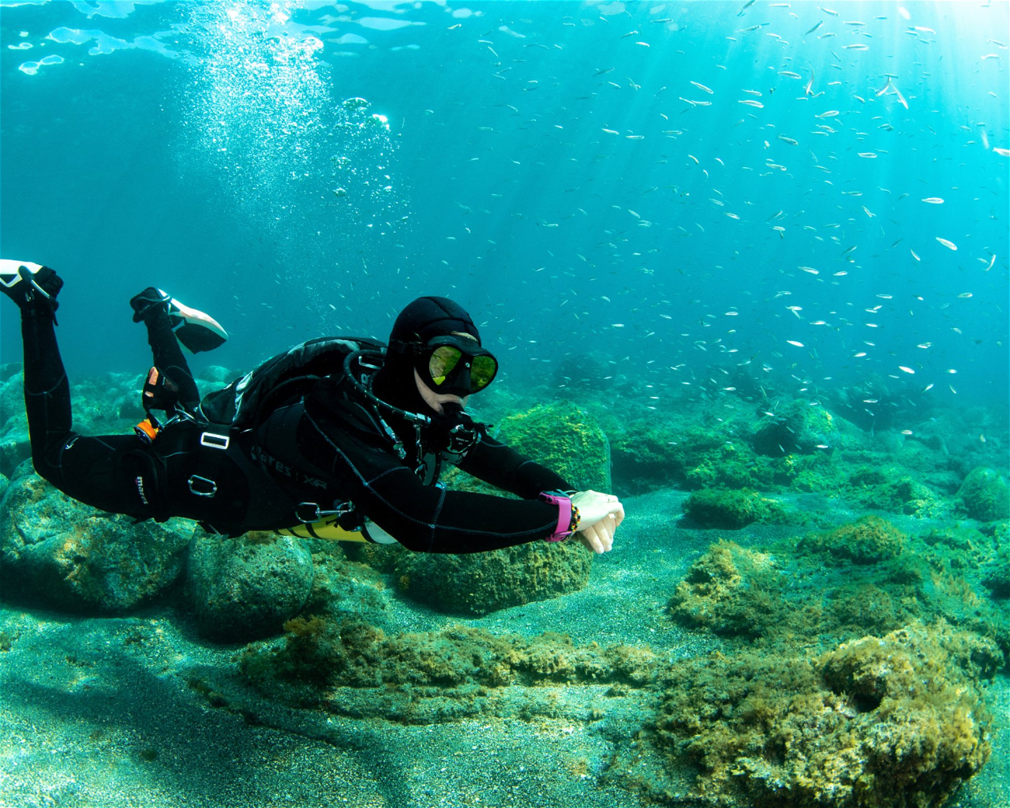 WET MONSTER - DIVE CENTER TENERIFE, 38630 COSTA DEL SILENCIO