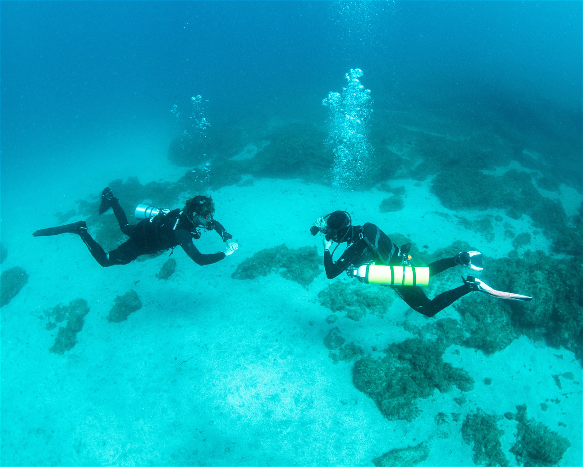 WET MONSTER - DIVE CENTER TENERIFE, 38630 COSTA DEL SILENCIO