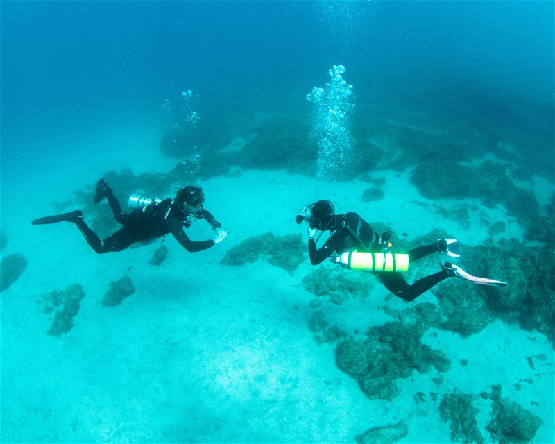 Divesite Image