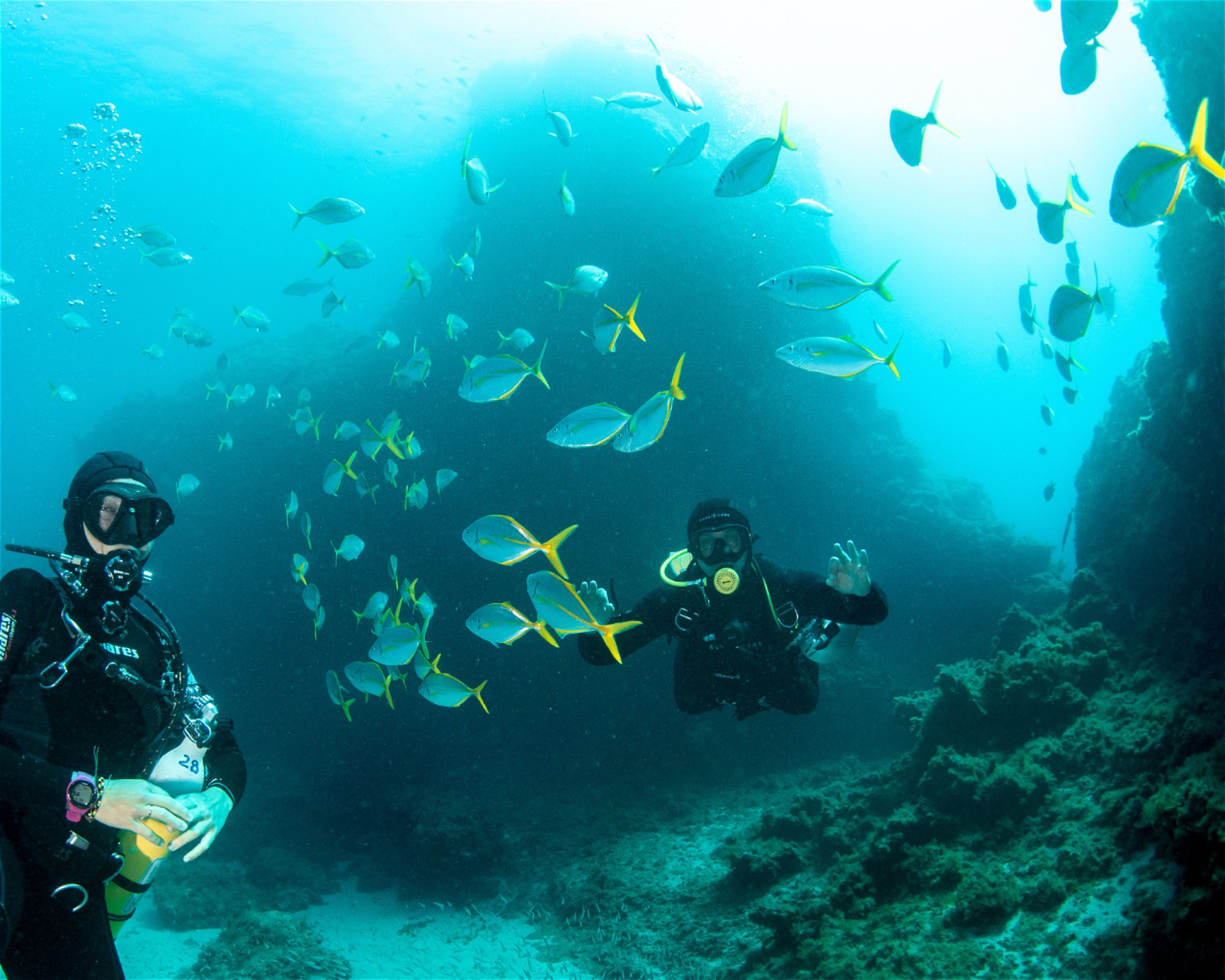 WET MONSTER - DIVE CENTER TENERIFE, 38630 COSTA DEL SILENCIO