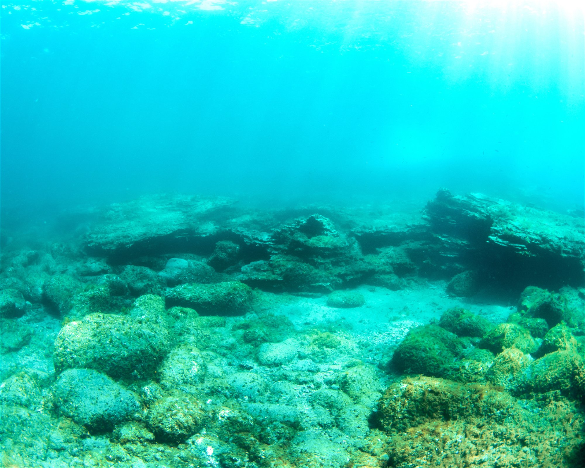 WET MONSTER - DIVE CENTER TENERIFE, 38630 COSTA DEL SILENCIO