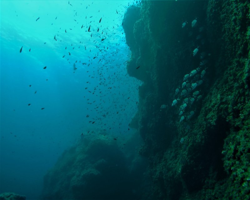 Divesite Image