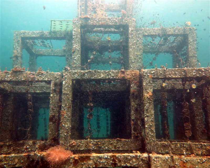 Divesite Image