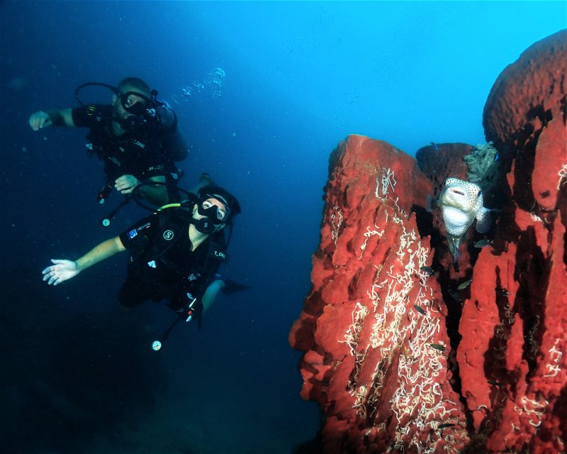 Divesite Image
